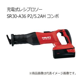 HILTI ヒルティ 充電式レシプロソー SR 30-A36 ケース 2162154