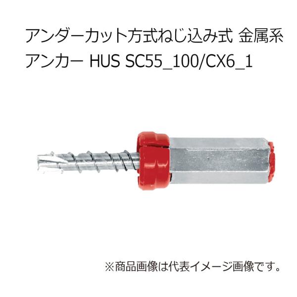 ヒルティ HUS SC55_100/CX6_1 アンダーカット方式ねじ込み式 金属系 アンカー 36...