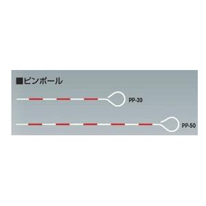 タジマ ピンポール【φ6×300mm】 PP-30｜kunimotohamono