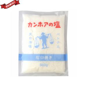 塩 天然塩 非加熱 カンホアの塩 石臼挽き 500g 送料無料