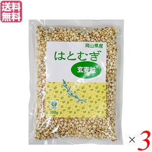 はと麦 はとむぎ はとむぎ玄麦粒 300g TAC21 3個セット