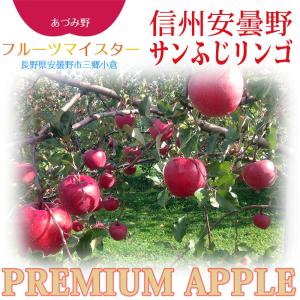 信州安曇野 布山さん家のサンふじりんご 約3k...の詳細画像1