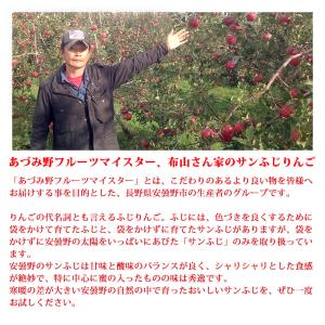 信州安曇野 布山さん家のサンふじりんご 約3k...の詳細画像3