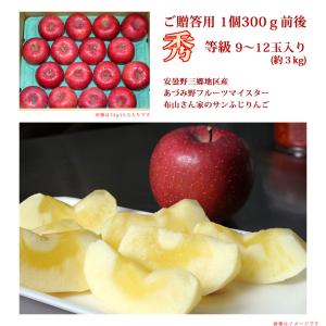 信州安曇野 布山さん家のサンふじりんご 約3k...の詳細画像4
