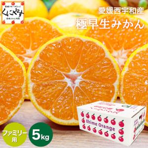 「ファミリー極早生みかん5」【送料無料】【産地直送】【ギフト】ファミリー用 愛媛西宇和産 極早生みかん5kg