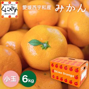 「小玉みかん6」味センサー合格品【送料無料】【お歳暮】【ギフト】愛媛西宇和産小玉みかん3kg×2箱 2S-S玉