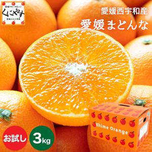 紅まどんな化粧箱 L玉×3kg 愛媛県JA越智今治 紅まどんな ご贈答