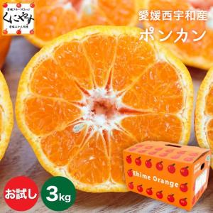 「お試し愛媛ポンカン3」【送料無料】【産地直送】お試し用 愛媛 ポンカン 3kg ＼創業85年 愛媛みかん の 老舗／