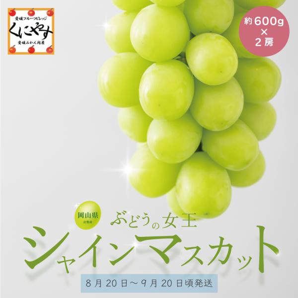 ★新発売！予約販売開始★ 【送料無料】「岡山産シャインマスカット600g×2」【8月20日〜9月20...