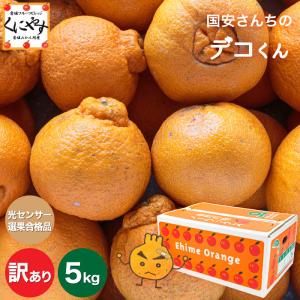 「訳ありデコくん5」【味センサー合格品】【送料無料】【クール便】愛媛西宇和産国安さんちの訳ありデコくん 5キロ