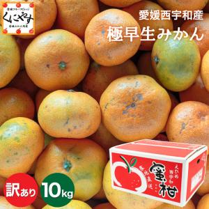 「訳あり極早生みかん10」【1〜5営業日以内当店発送】【送料無料】【産地直送】【訳あり】愛媛西宇和産 訳あり極早生みかん 10kg