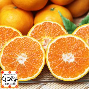 「訳ありはれひめ5」【送料無料】【産地直送】訳あり 愛媛産 はれひめ 5キロ 希少品種！みかんのように手で剥いてパクパクお手軽