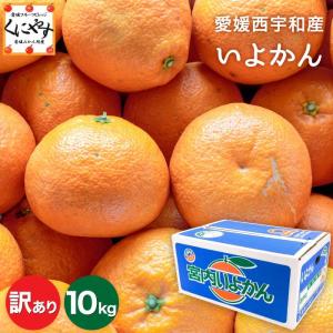 「訳ありいよかん5×2」いよかんの横綱！宮内伊予柑【送料無料】【家庭用】【産地直送】訳あり 愛媛 伊予柑 10kg(5kg×2箱)
