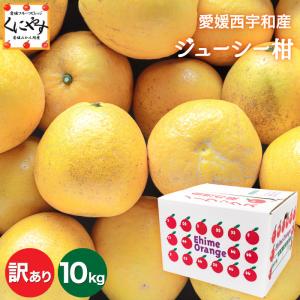 「訳ありジューシー柑10」【送料無料】訳ありジューシー柑10kg (10kg×1箱）大きさ不揃い/数お任せの訳あり品 河内晩柑と同一品種！