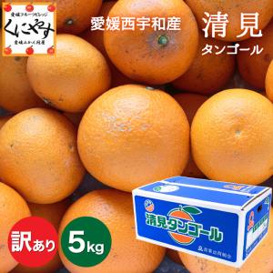 訳ありせとか2kg（傷あり・不揃い）産地直送！送料無料 愛媛県産