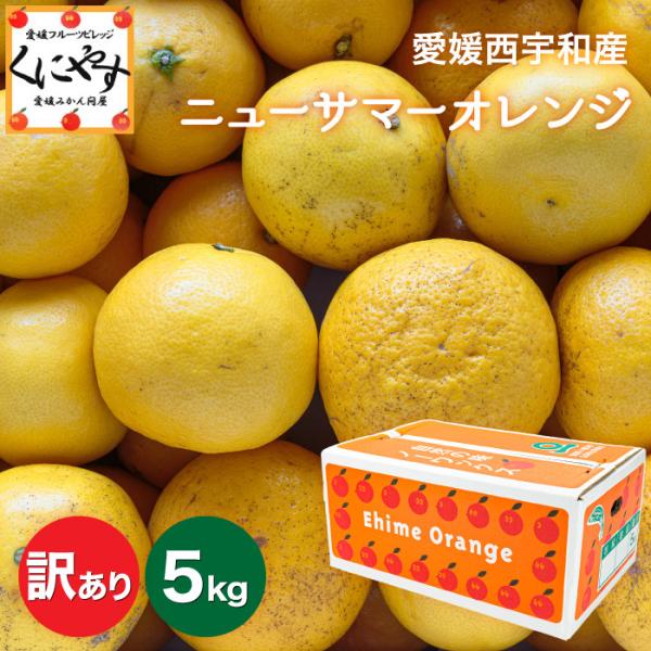 「訳あり小夏5」【送料無料】愛媛西宇和産ニューサマーオレンジ(小夏) 5kg/大きさ不揃い・見た目チ...