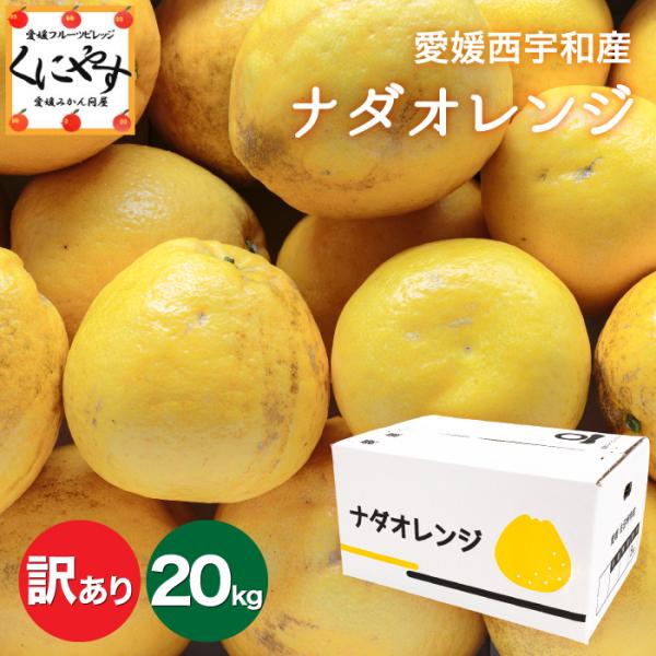 「訳ありナダオレンジ5×4」限定ブランド【送料無料】【産地直送】愛媛西宇和産 ナダオレンジ 訳あり ...