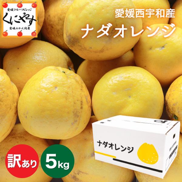 「訳ありナダオレンジ5」限定ブランド【送料無料】【産地直送】愛媛西宇和産 ナダオレンジ 訳あり 5k...