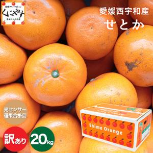 「訳ありせとか5×4」【送料無料】【光センサー選果品】【訳あり】愛媛産せとか 訳あり20キロ (5キロ×4箱)みかんの大トロ｜kuniyasu-seika