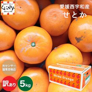 「訳ありせとか5」【送料無料】【産地直送】訳あり 愛媛西宇和産 せとか 5キロ/究極の柑橘！みかんの大トロ