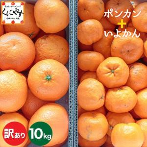 旬の柑橘各種詰め合わせセット みかん 5kg 食べ比べ 大三島 愛媛