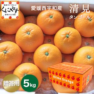 長崎 マルナン ”匠の味 葉付きデコポン” 秀品 7〜10玉前後 約3kg【予約
