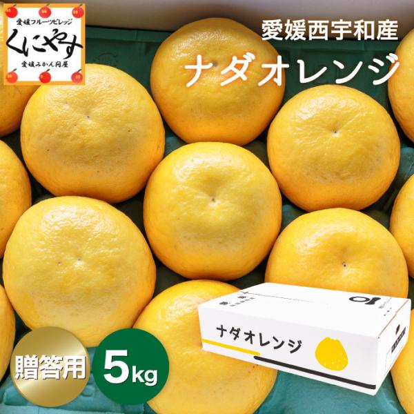 「贈答ナダオレンジ5」 送料無料 高級果物 贈答用ナダオレンジ5kg,皮むき簡単食べ易い冷やして食べ...