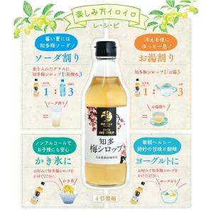 【夏ギフト】國盛ファーム 梅シロップ 420g...の詳細画像2