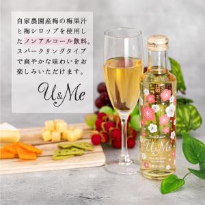 國盛 ノンアルコール梅酒 U&Me 200ml...の詳細画像1