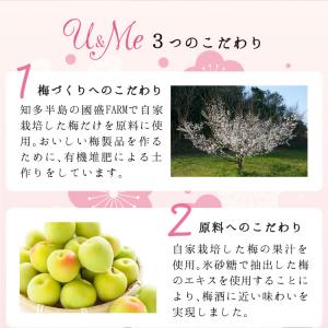 國盛 ノンアルコール梅酒 U&Me 200ml...の詳細画像3