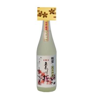 五条川桜 日本酒