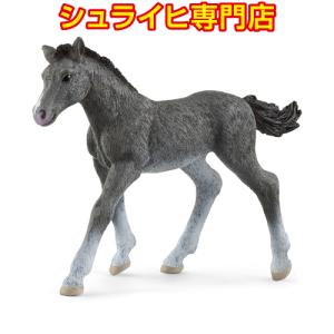 シュライヒ専門店】シュライヒ ハフリンガー馬 メス 13950 動物