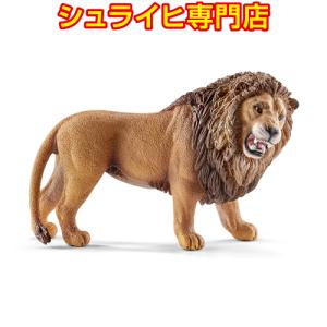 【シュライヒ専門店】シュライヒ ライオン 吠える 14726 動物フィギュア ワイルドライフ Wild Life schleich