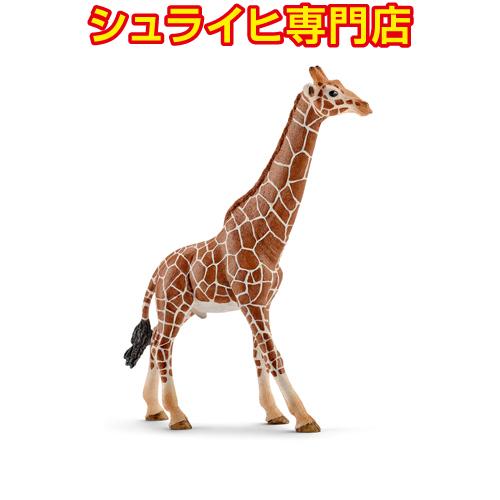 【シュライヒ専門店】シュライヒ キリン オス 14749 動物フィギュア ワイルドライフ Wild ...