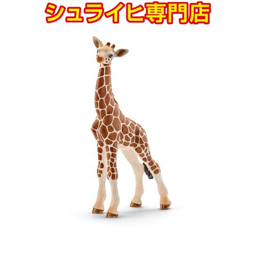 【シュライヒ専門店】シュライヒ キリン 仔 14751 動物フィギュア ワイルドライフ Wild L...