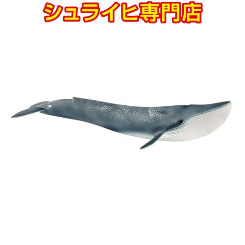 【シュライヒ専門店】シュライヒ シロナガスクジラ 14806 動物フィギュア ワイルドライフ Wil...