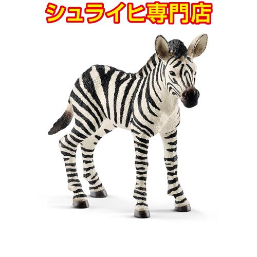 【シュライヒ専門店】シュライヒ シマウマ 仔 14811 動物フィギュア ワイルドライフ Wild ...
