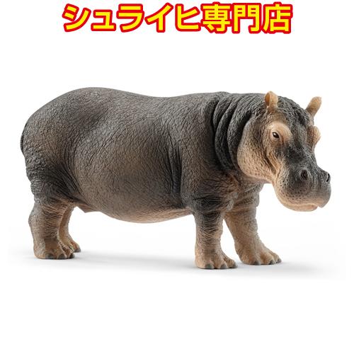 【シュライヒ専門店】シュライヒ カバ 14814 動物フィギュア ワイルドライフ Wild Life...