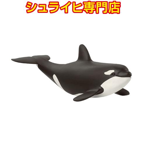 【シュライヒ専門店】シュライヒ シャチ 仔 14836 動物フィギュア ワイルドライフ Wild L...