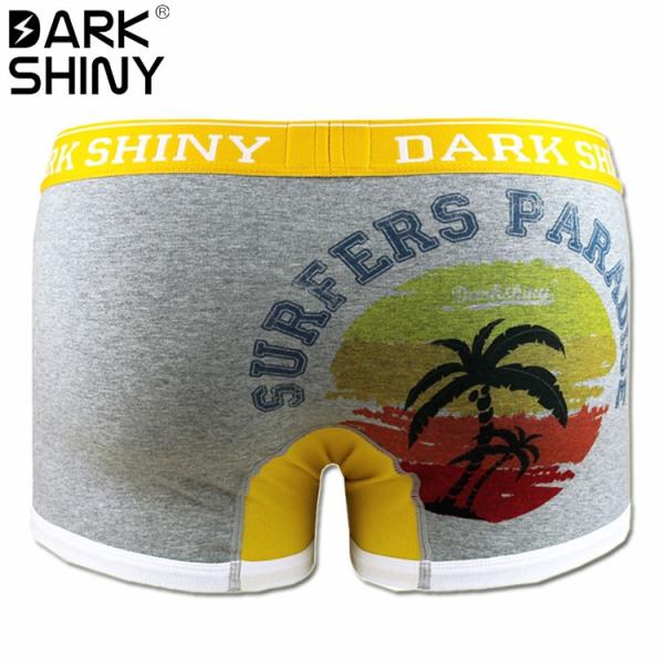 ボクサーパンツ DARK SHINY ダークシャイニー TROPICAL RESORT SURFER...
