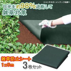 3月29日迄 防草 雑草防止 シート 雑草対策 農用 農業資材 雑草抑制 ガーデニング 園芸 用品 資材 家庭菜園 花壇 庭 遮光 1×5m 3個セット 直送AB4549081