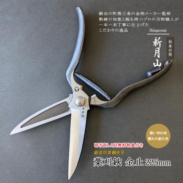 剪定ばさみ 剪定バサミ 剪定はさみ 剪定鋏 プロ用 日本製 葉刈鋏 園芸鋏 高級 果樹 盆栽 枝切 ...