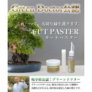 ハナゲン カットパスター Hi 雑木用 190...の詳細画像4
