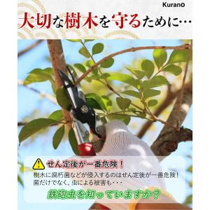 ハナゲン カットパスターHi 雑木用500g ...の詳細画像4