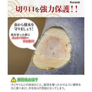ハナゲン カットパスターHi 雑木用500g ...の詳細画像5