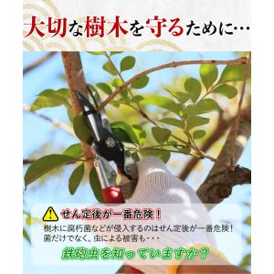 癒合剤 ガジュマル 切り株 ハナゲン カットパ...の詳細画像4