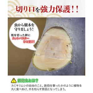 癒合剤 ガジュマル 切り株 ハナゲン カットパ...の詳細画像5