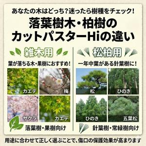 癒合剤 ガジュマル 切り株 ハナゲン カットパ...の詳細画像3