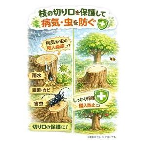 癒合剤 ガジュマル 切り株 ハナゲン カットパ...の詳細画像1