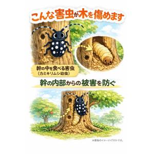癒合剤 ガジュマル 切り株 ハナゲン カットパ...の詳細画像2